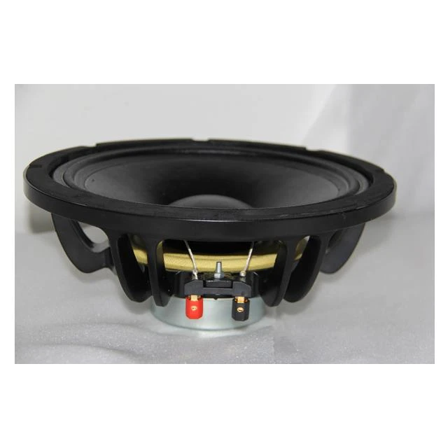 10 Inch 300W RMS NEO Pro Audio Loudspeakers Subwoofer